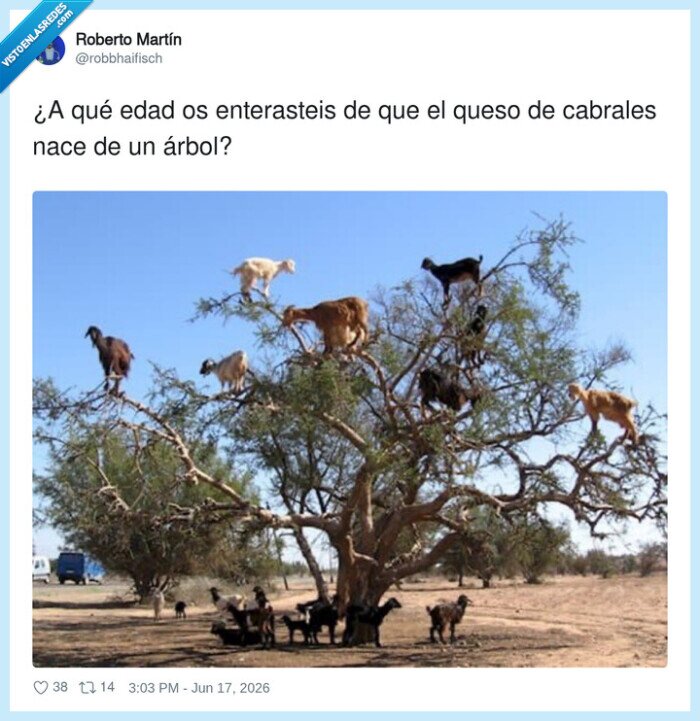 cabras,&aacute;rbol,queso,Cabrales