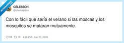 Enlace a Guerra civil, por @chemapizca