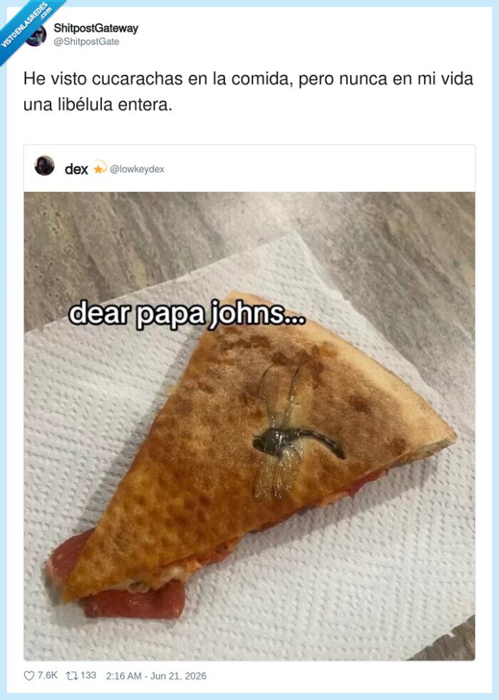 pizza,insecto,restaurante,asqueroso,sorpresa