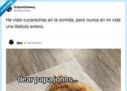 Enlace a Me pedí una pizza y me llegó con dron incluido, por @ShitpostGate