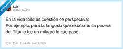 Enlace a La langosta no se esperaba volver a la libertad, por @Thor_luisXVII