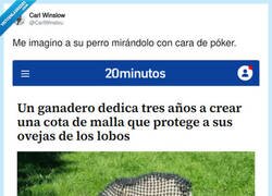 Enlace a Mi oveja va en modo 