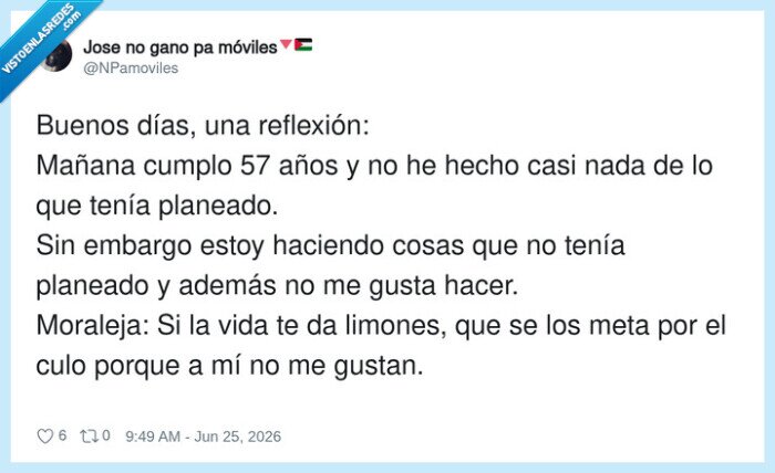 cumplea&ntilde;os,limones,vida,planes,resignaci&oacute;n