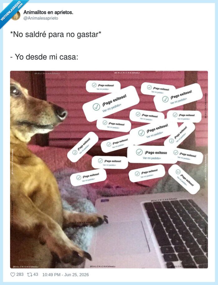gastar,compras,pago,perro,casa