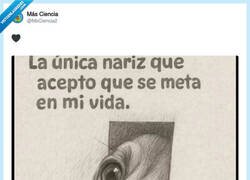 Enlace a Mira que ser perro y que la única meta realista sea meter la nariz donde no te llaman, por @MsCiencia2