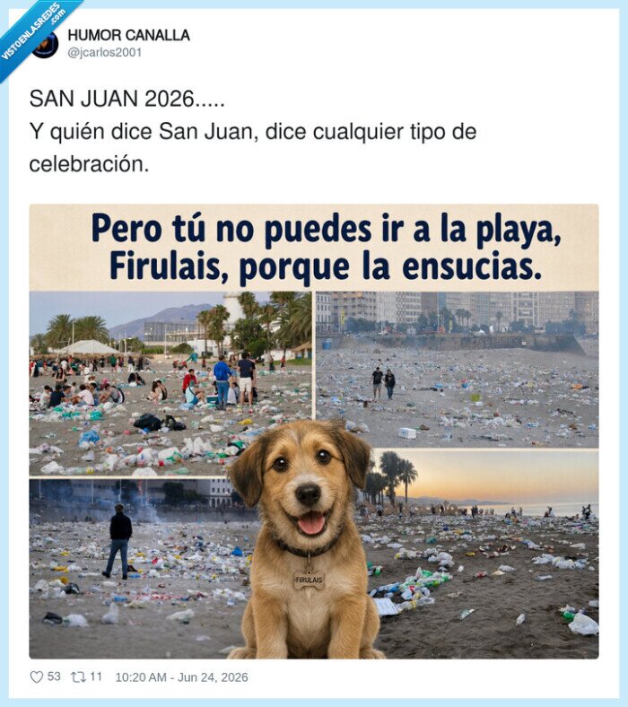 playa,basura,Firulais,celebraci&oacute;n,2026