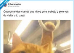 Enlace a Pensándolo así me acaba de entrar un escalofrío por dentro, por @Guarromantico_