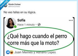 Enlace a Mateo tiene razón, la física es una opinión, por @RincnCuriosoo