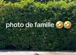 Enlace a Esto demuestra que el perro es uno más de la familia