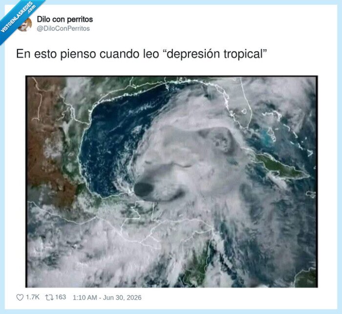 depresion,tropical,perro,nube,satelite