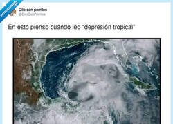 Enlace a Tanto internet ha atrofiado mi cerebro, por @DiloConPerritos