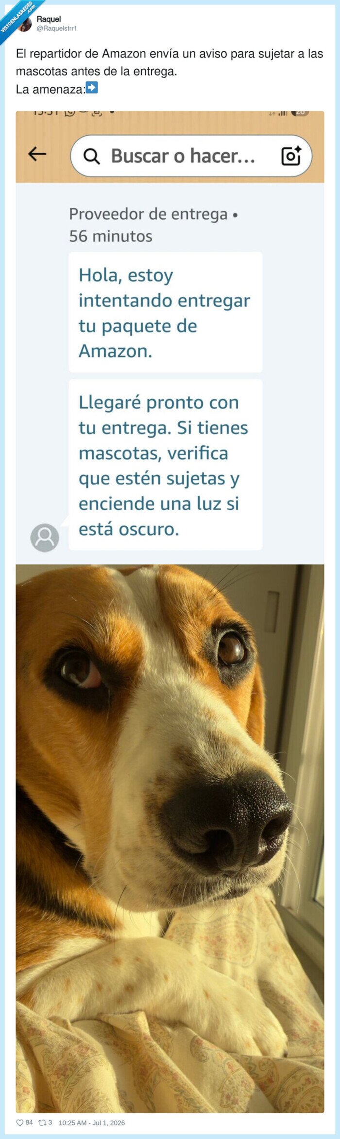 mascotas,entrega,Amazon,repartidor,cuidado