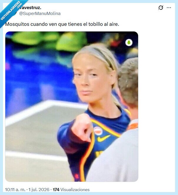 mosquitos,tobillo,aire