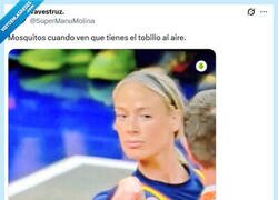 Enlace a Si es que vas provocando por @supermanumolina