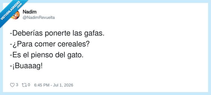 gato,cereales,desayuno,gafas,confusi&oacute;n