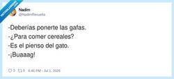 Enlace a El gato mirándome como: disfruta, campeón, por @NadimRevuelta