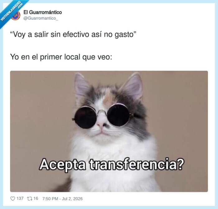 gato,transferencia,efectivo,salida,compra