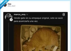 Enlace a Vendo gato seminuevo, solo le falta pintar una pata y está como nuevo, por @bjs_alejo2
