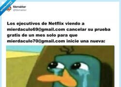 Enlace a Apenas da el cante, por @Memakker
