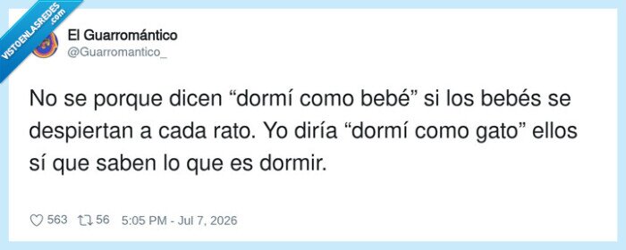sue&ntilde;o,beb&eacute;s,gatos,comparaci&oacute;n