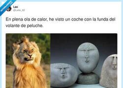 Enlace a Eso es muy 1995, por @Leito_82