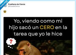 Enlace a Quéjate a la profesora, por @EnsedeCiencia