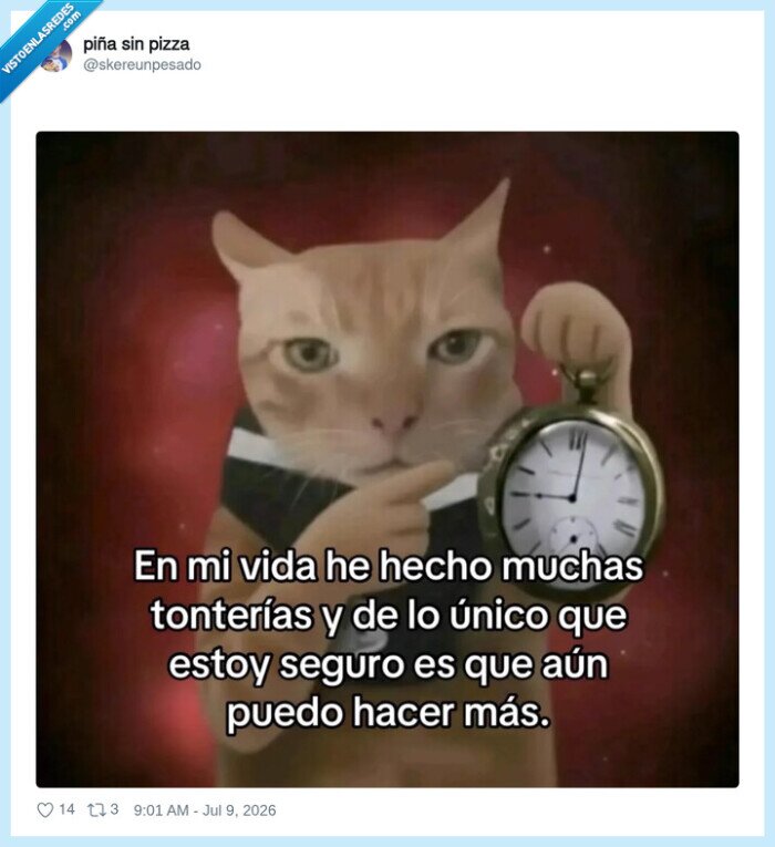 gato,reloj,tonter&iacute;as,seguridad,futuro