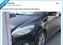 Enlace a Menos mal que tiene 7 vidas por @supermanumolina