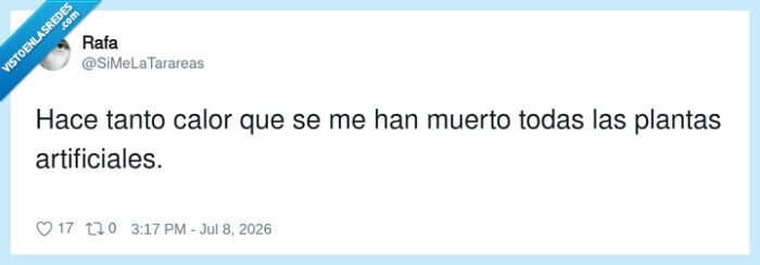 calor,plantasartificiales,muerte,verano