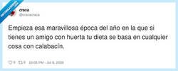 Enlace a Nunca saben qué hacer con tantos calabacines, por @cracacraca