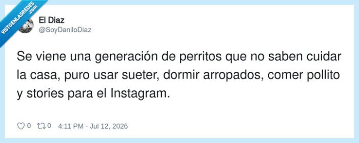 perritos,cuidarCasa,sueter,Instagram,generacion
