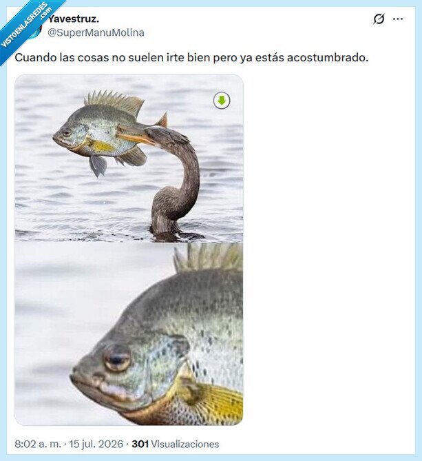 acosumbrado,vida,cosas,bien