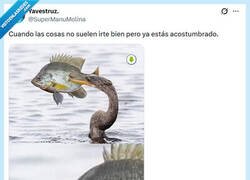Enlace a Un día más en la oficina por @supermanumolina