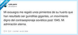 Enlace a Va a por ti, por @ruidoperro