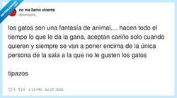 Enlace a Los gatos: independencia total… excepto para tocarle los coj ones al que no les aguanta, por @kansaita_