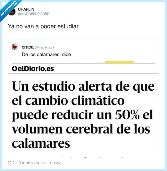 1743566 - Con el cambio climático, los calamares van a pasar de