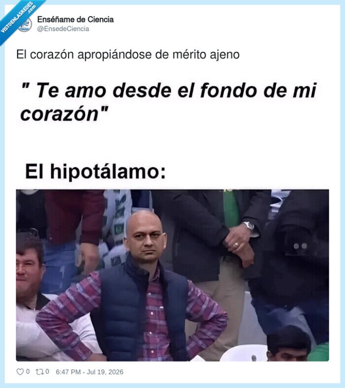 coraz&oacute;n,hipot&aacute;lamo,amor,ciencia