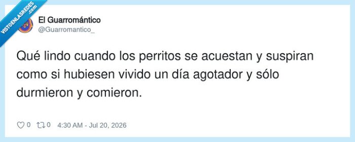 perros,suspiro,siesta,agotamiento,vagancia