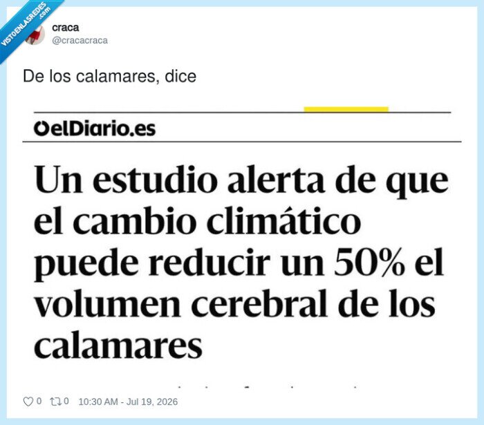 calamares,cerebro,clim&aacute;tico,estudio,titular