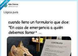 Enlace a La lógica es impecable, la verdad, por @MsCiencia2