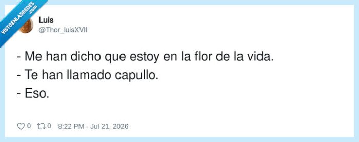 piropo,malentendido,insultos,conversaci&oacute;n,capullo