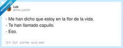 Enlace a La flor de la vida, por @Thor_luisXVII