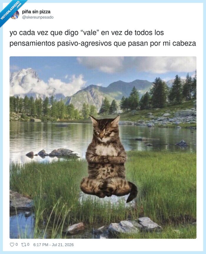vale,pasivoagresivo,mon&oacute;logo,autocontrol,gato