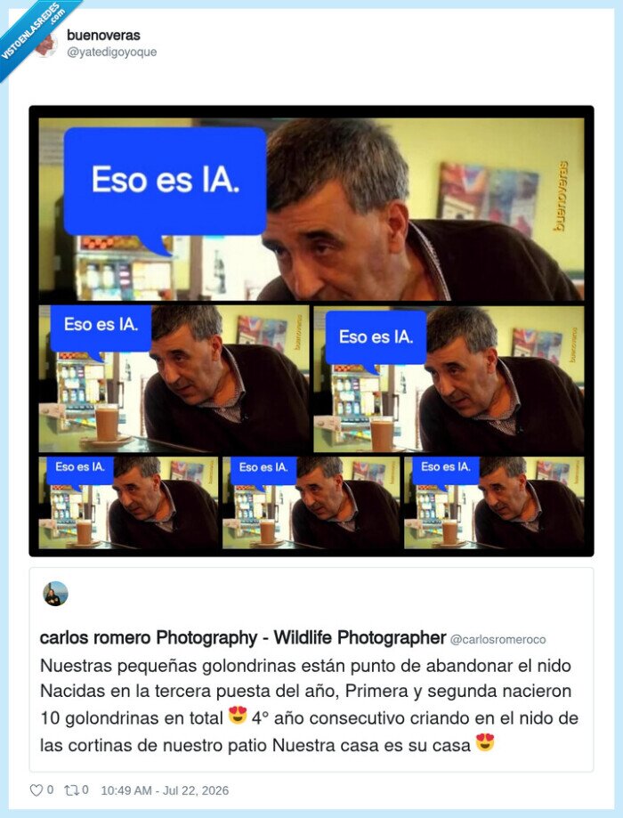 IA,golondrinas,nido,casa,familia