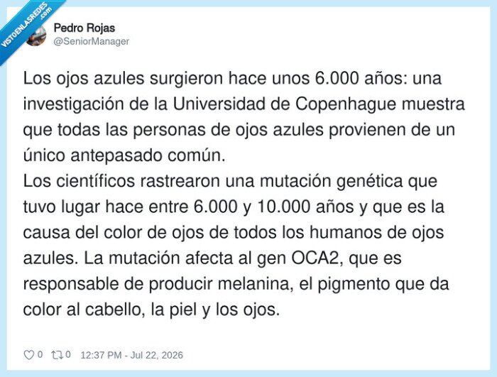 ojosazules,mutaciongenetica,OCA2,antepasadocomun,melanina