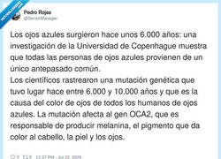Enlace a Así que todos los ojos azules vienen del mismo tío, vaya rollo de familia disfuncional