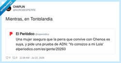 Enlace a Pedir ADN por un perro: el peak del “yo sé lo que vi” versión 2026, por @NOROBESPIERRE