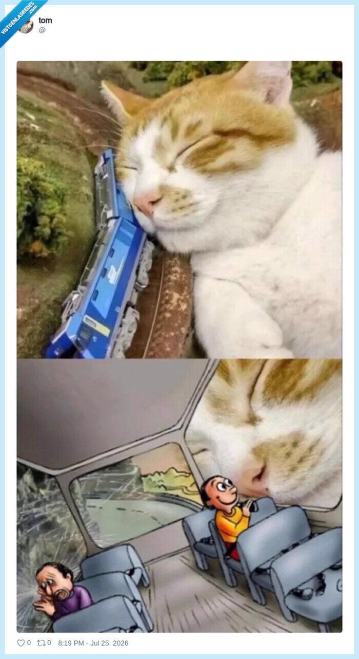 meme,autobus,gato,tren,dormido,viajero