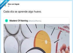 Enlace a Cada día se aprende algo huevo