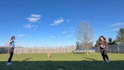 Enlace a El perro está muy lejos de tocar la pelota pero se lo está pasando mejor que ellas